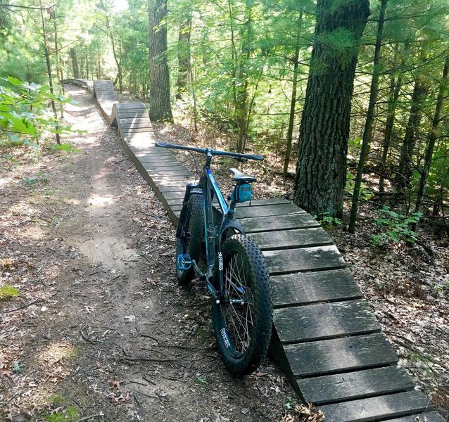 Long "dragon's back" rollercoaster skinny on black trail