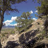 Climbing up the new Rusty Lung trail.