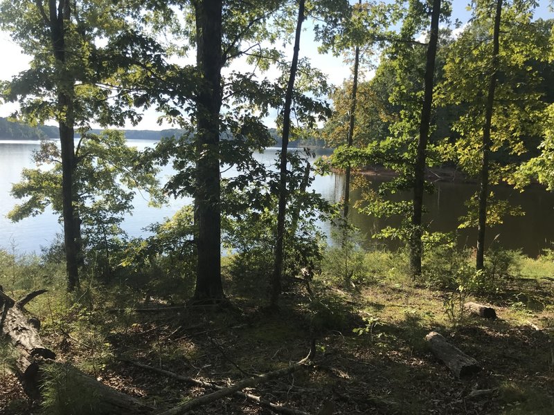 Beautiful views of the lake when you need a breather.