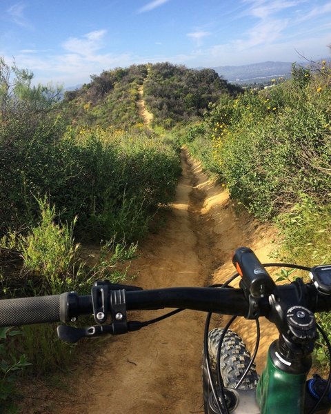 Descending Serrania Ridge Trail