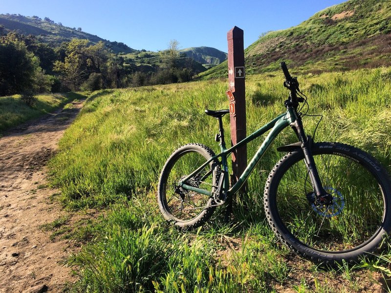 Upper Las Virgenes Canyon