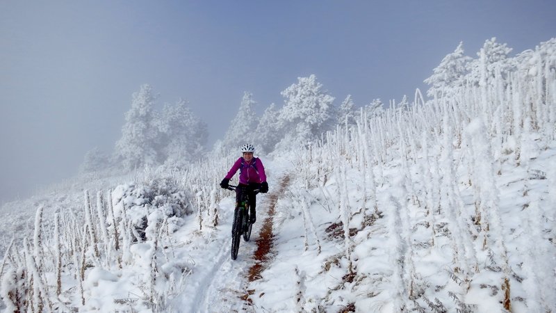 Who needs a fat bike?