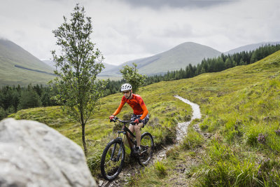 A sweet singletrack section of the West Highland Way.