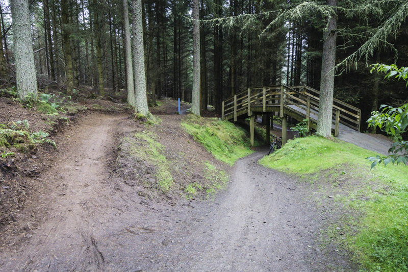 You could get lost in the maze of trails at Glentress, except that they are so well marked.