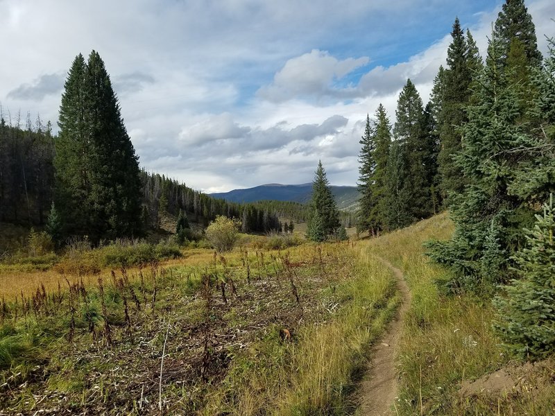 Nothing but singletrack the whole way