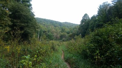Vista on Fletcher Creek Trail