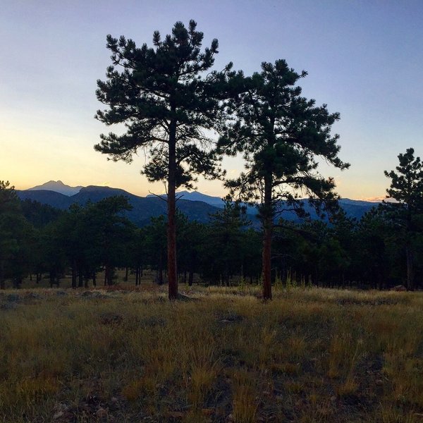 Longs Peak & Mt Meeker in the distance nearing sunset on Ponderosa Loop