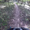 Downhill singletrack