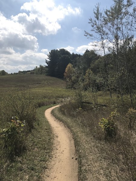 Beautiful day. Leaves are turning.