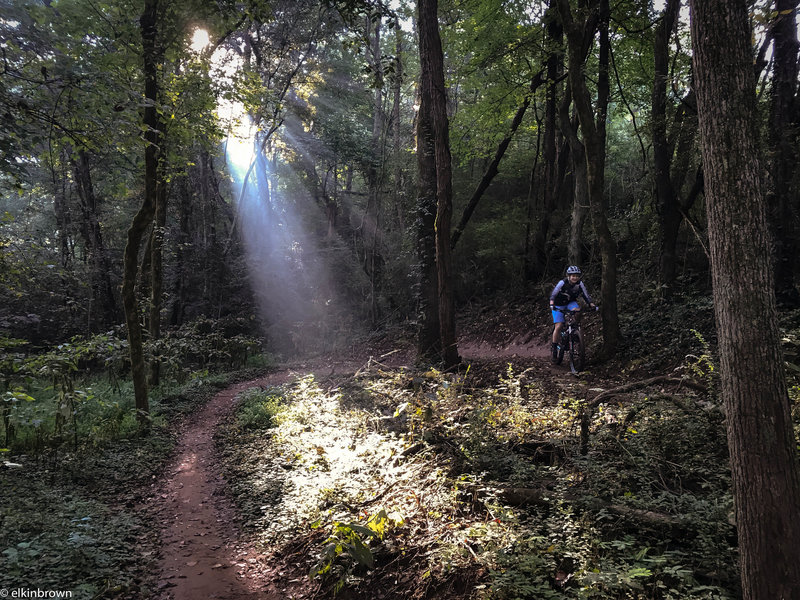 Jen making her way up Red Bud Crest switchbacks into Knoxville's dense Urban Wilderness.