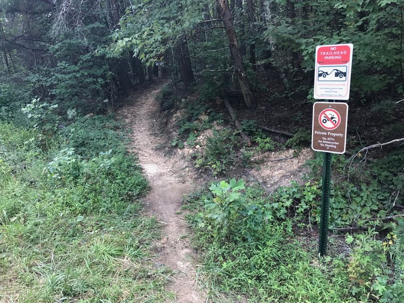 Lula Lake Rd Trailhead.