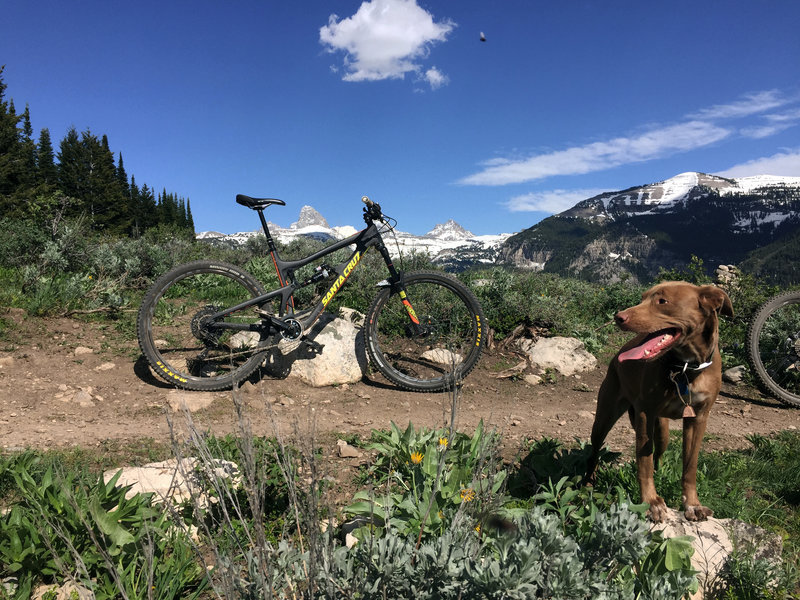 Mill Creek Teton Overlook.