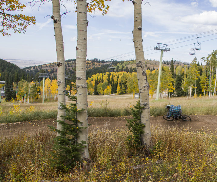 Chutes & Ladders, Grand Targhee. Photo: Cy Whitling. Rider: Collin Wheeler