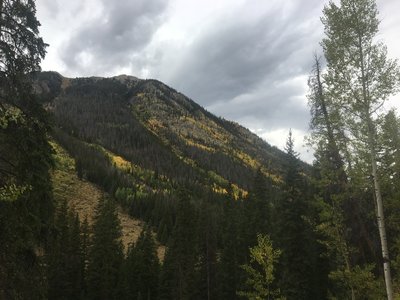 Aspen colors.