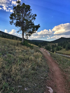 Great view looking towards the rest of the park and trails