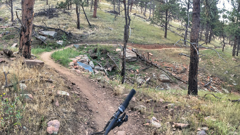 Nice, easy flow throughout this trail