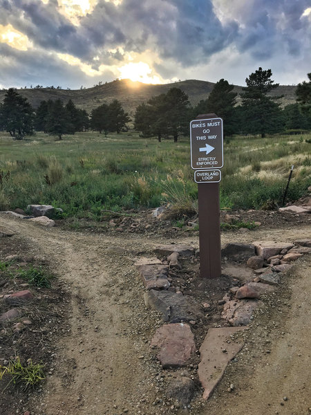 This trail is directional, which makes it great for beginners. Direction changes monthly.