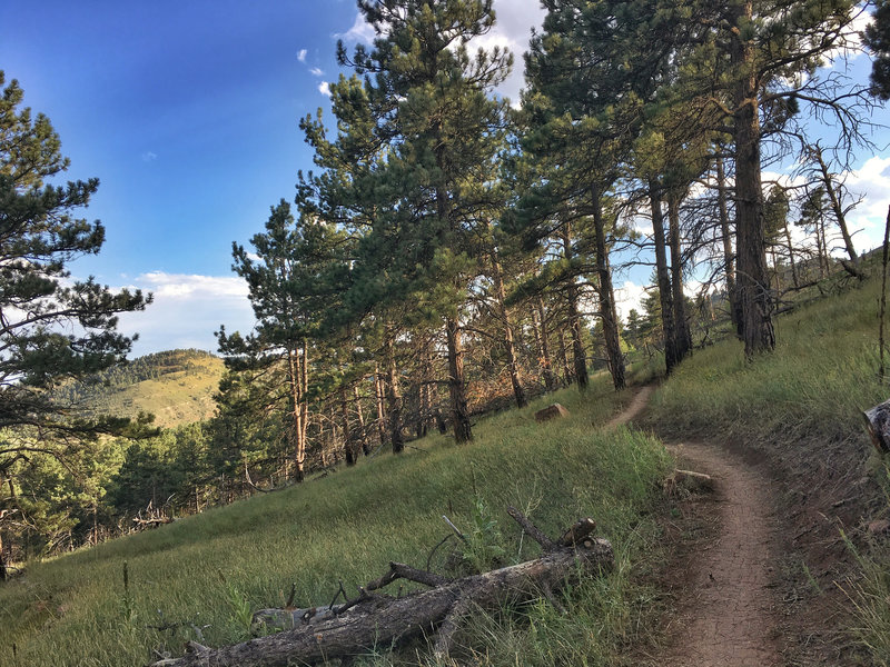 This is about as steep as the climbing gets in the counterclockwise direction.