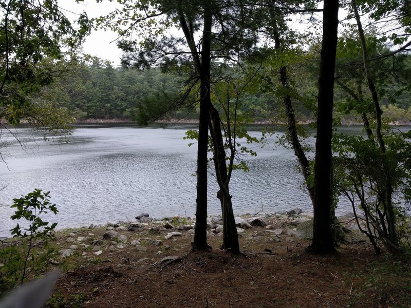 View of Walden pond from Around The World trail