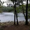 View of Walden pond from Around The World trail