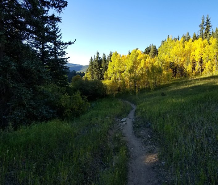 Morning descent down west side of Mule Trail 9-22-2017