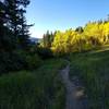 Morning descent down west side of Mule Trail 9-22-2017