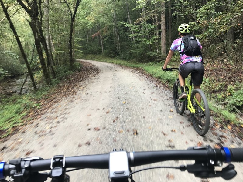 Craig Creek Rd, heading from West from Brown Mountain Beach Rd.