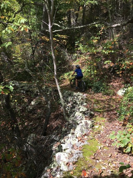 The rock walls built by the ccc in the 1930s.