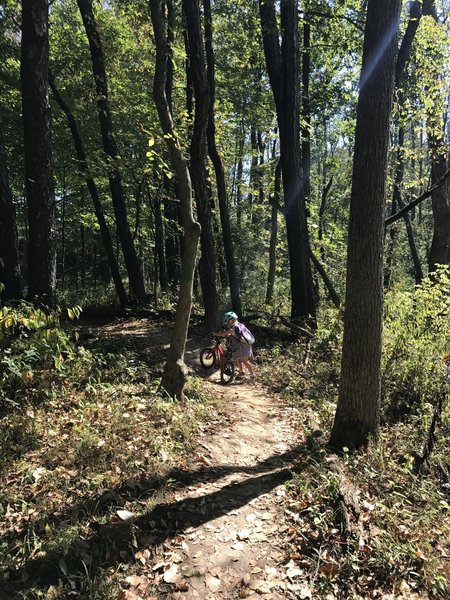 Walking up the tiny hill