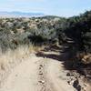 Part of the two-track trail with views of the Mule Mountains in the distance.