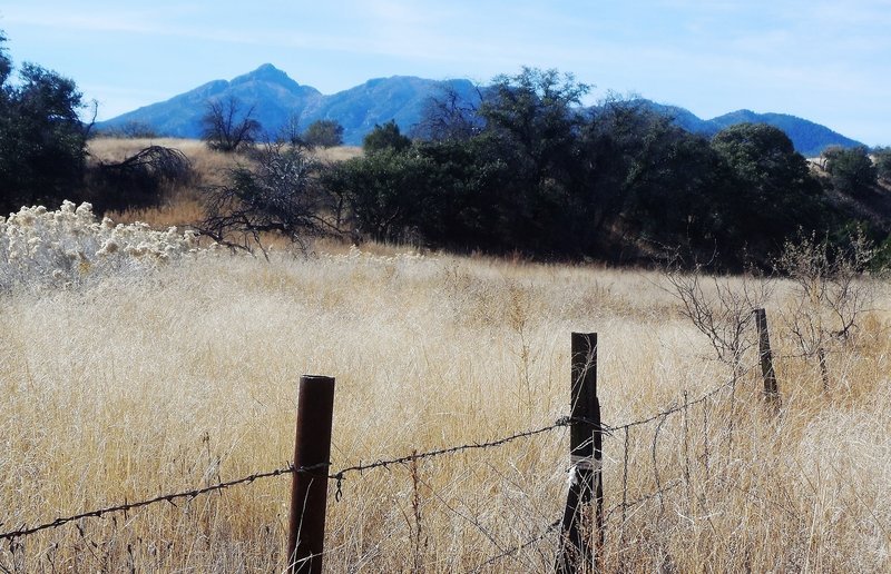 Another view of Mt. Wrightson from the lower part of the trail