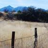 Another view of Mt. Wrightson from the lower part of the trail