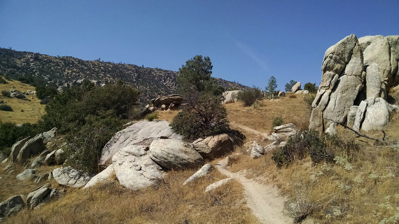 Lower, flowy section of Dutch Flat trail.