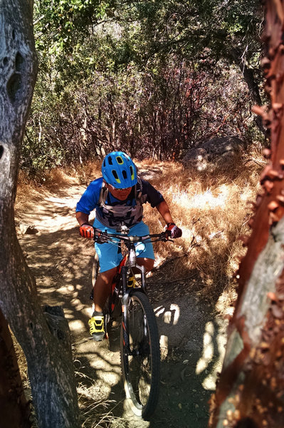 One of many technical sections on Just Outstanding trail.