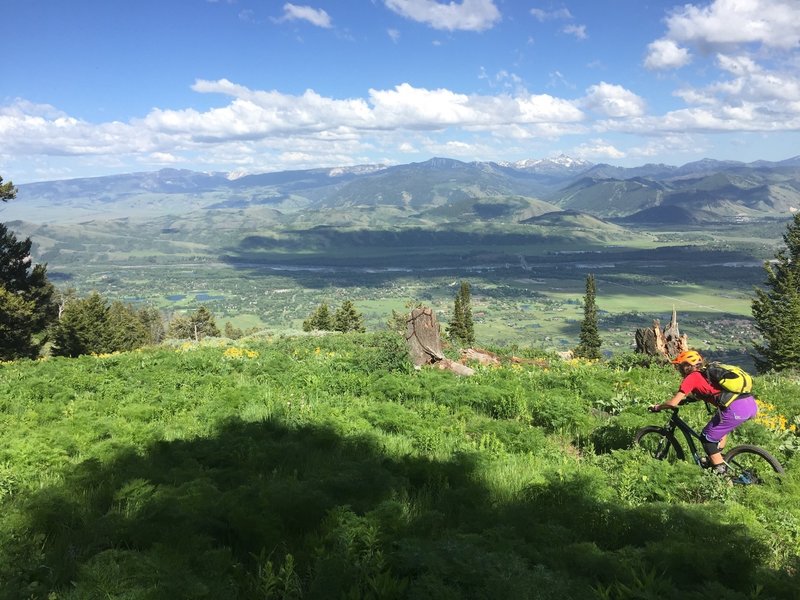 Rider: Kate Pearce. Photo: Collin Wheeler. Phillips RIdge, WY