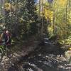 Riding along Silver Creek in primetime aspens!