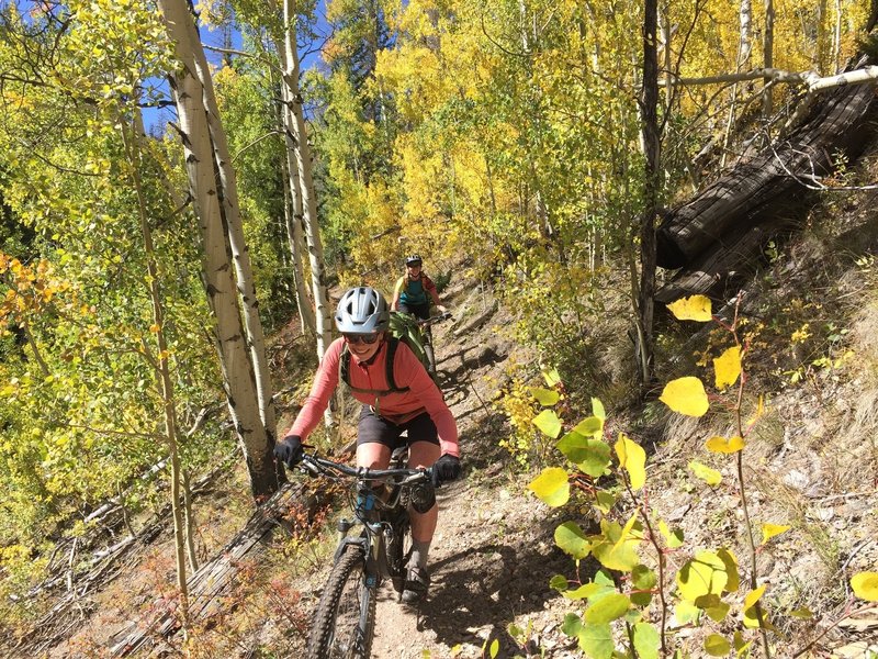 Rolling through an aspen tunnel on Silver Creek.