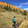 Prime aspens along this meadow portion of Silver Creek Trail.