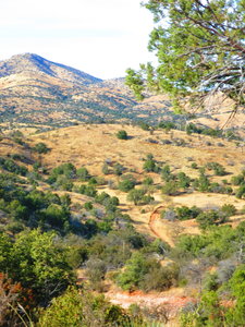 Looking north back down on the Forest Service road that we just came from