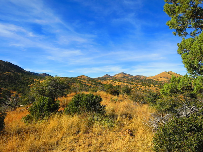 Foothills of the Santa Rita Mountains where the trail runs.