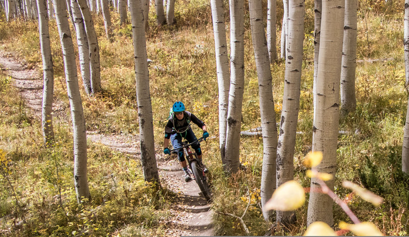 Gunsight is one of the most beautiful, flowiest trails in Crested Butte!