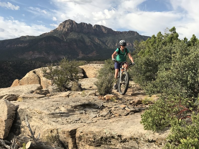 Maile cruising the mesa