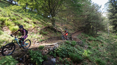 Alpe di Neggia Bike - Alessio Pizzicannella