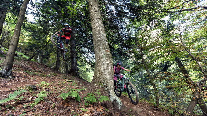 Alpe di Neggia Bike - Alessio Pizzicannella