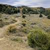 A bit of the windy singletrack along the Deuce.