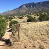 Above High Desert in Albuquerque, Trail 366.