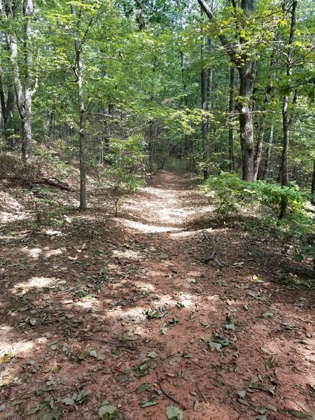 Looking down firetower from top of trail