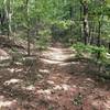 Looking down firetower from top of trail