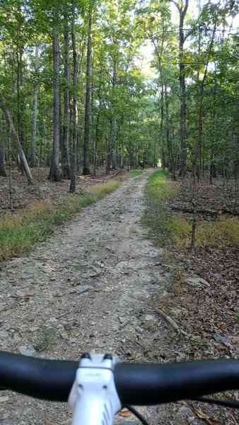 Typical doubletrack conditions at Grant Trail.