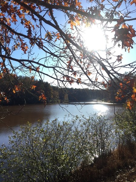 Autumn light and a great view.